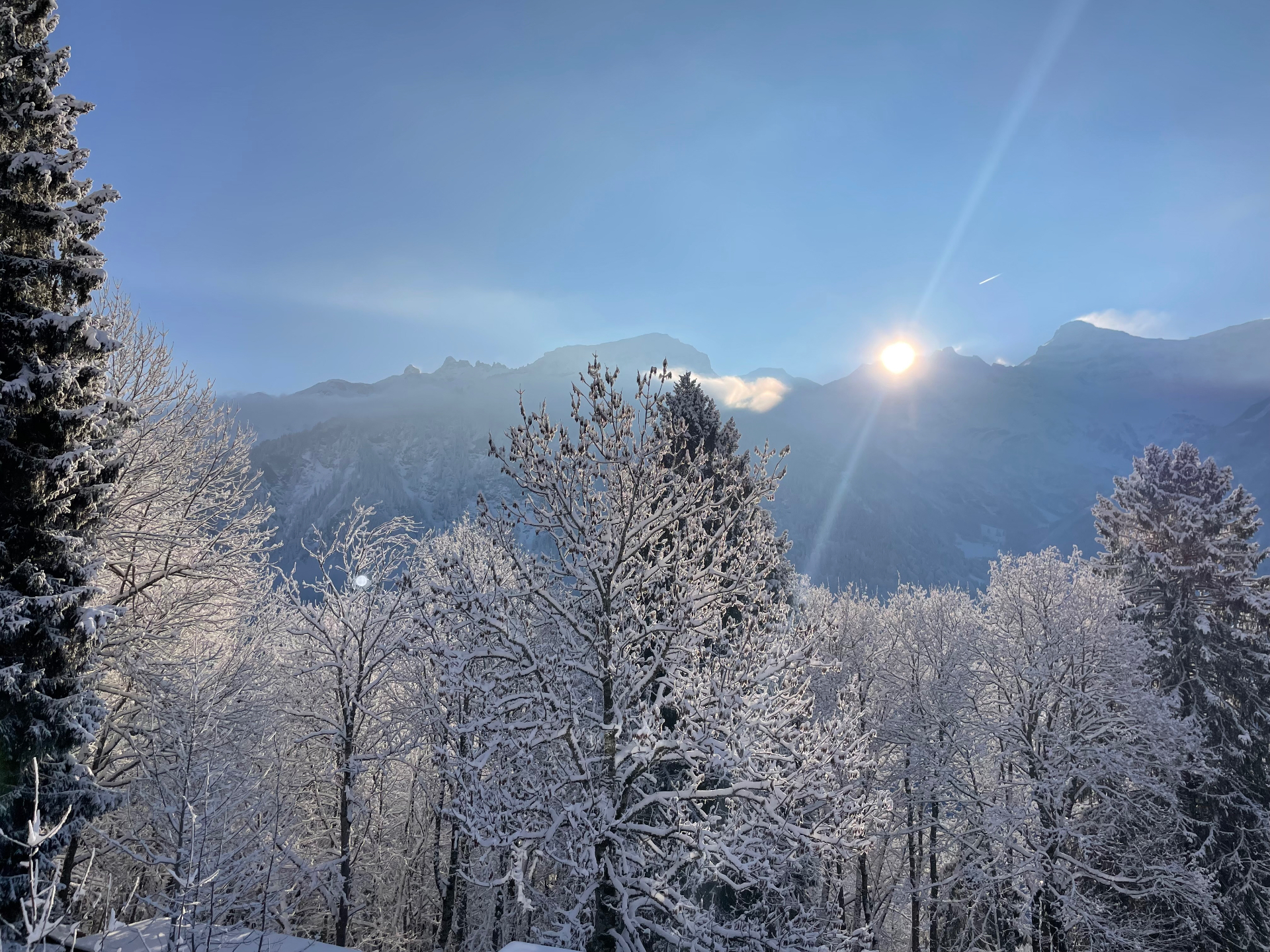Winterlicher Bergblick mit verschneiten Bäumen im Morgenlicht